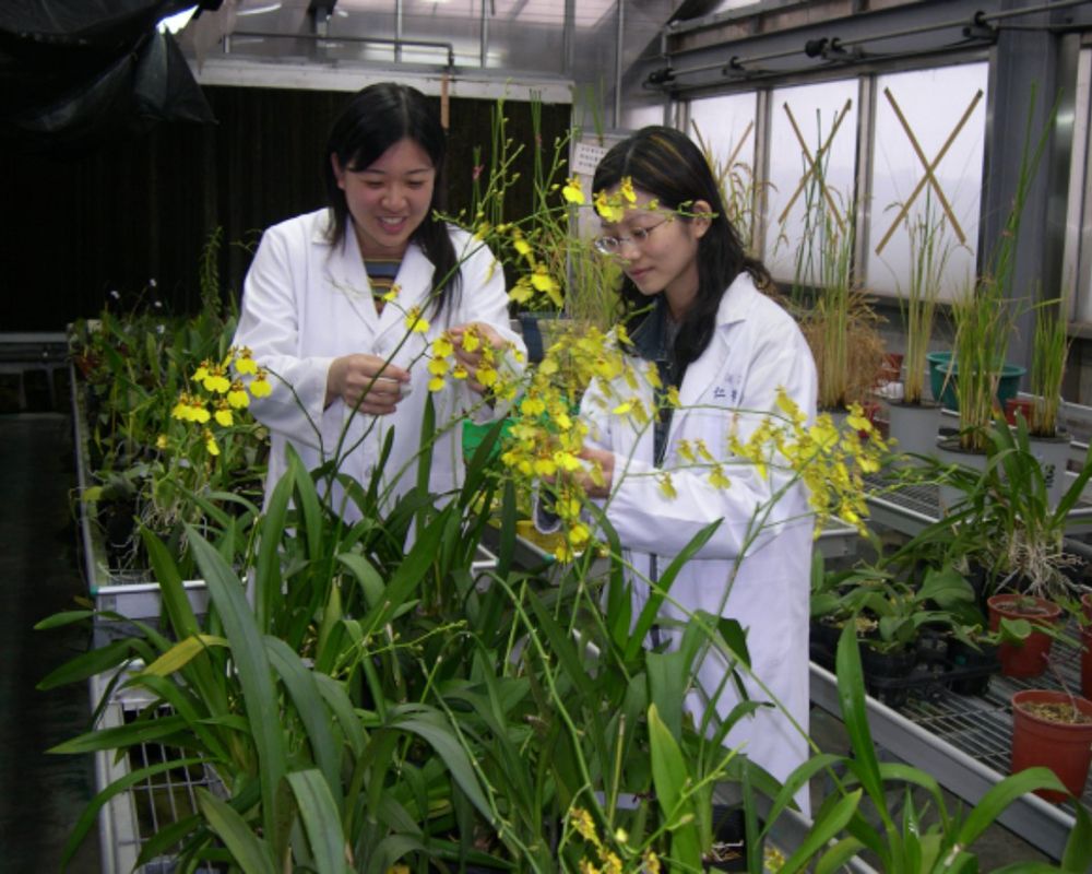NTU Offers Comprehensive and Cutting-Edge Courses on Plant Biotechnology-封面圖