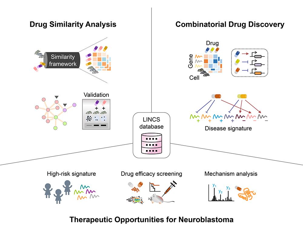 Big Data Analysis Illuminates New Strategies for Combinatorial Drug Therapy and Repurposing-封面圖