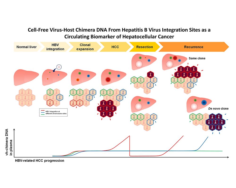 "Virus-host Chimera DNA" as A Novel Circulating Biomarker for Hepatitis B Virus-related Liver Cancer-封面圖