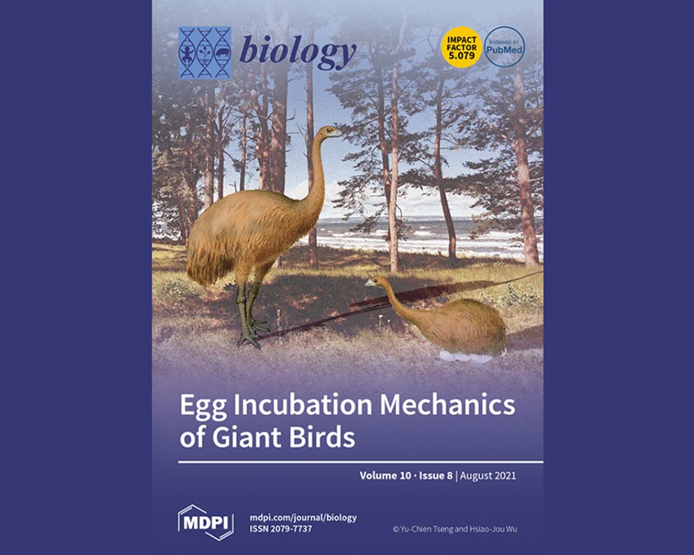 Series Report on the NTU Research Achievements: Newtonian Mechanics and Egg Incubation of Giant Birds-封面圖