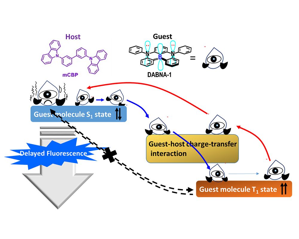Image1:The formation of the host-guest charge transfer transient bridge enables the molecules to accelerate the rates of intersystem crossing and reverse intersystem crossing, thereby generating TADF.