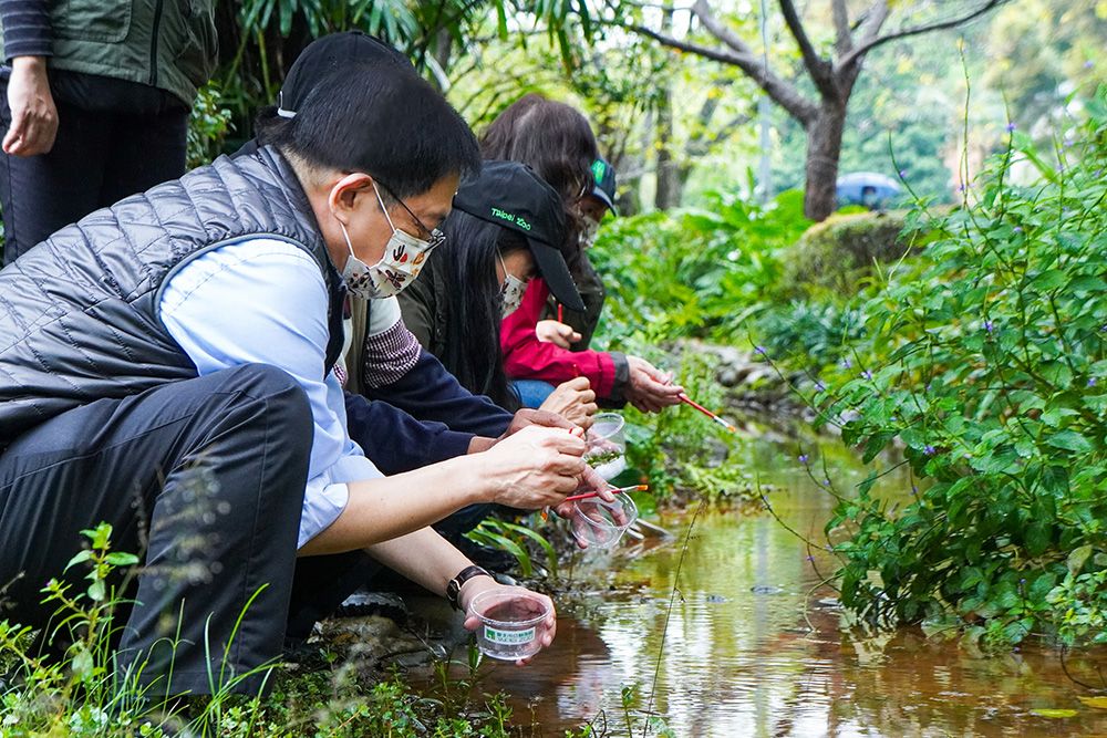 Image4:President Kuan participated in the release of firefly larvae into the wild.
