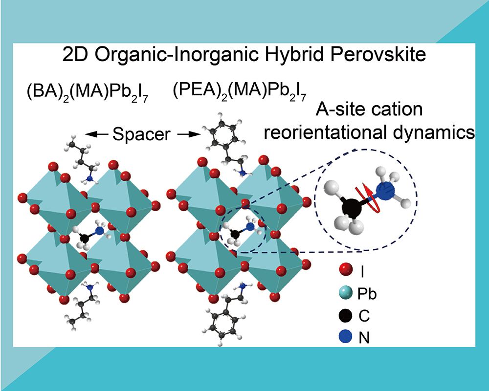 Direct investigation of the reorientational dynamics of A-site cations in 2D organic-inorganic hybrid perovskite by solid-state NMR-封面圖