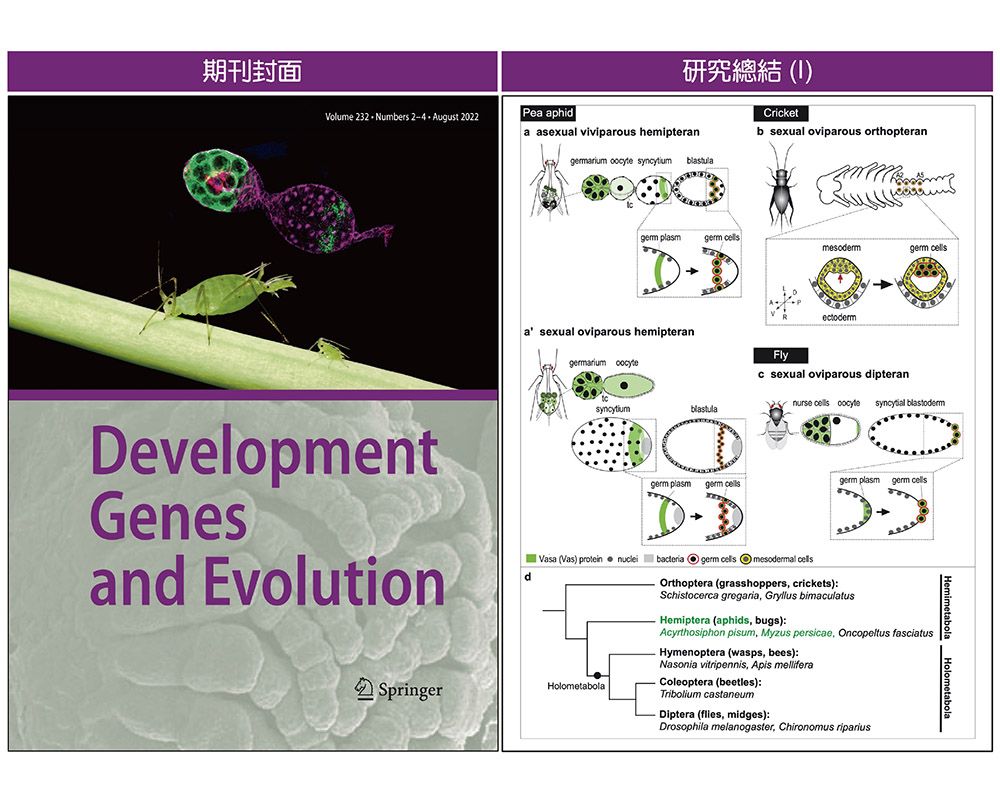 Aphid Research at NTU Featured Seven Times on Journal Covers and Is the Subject for a Recent Commentary-封面圖