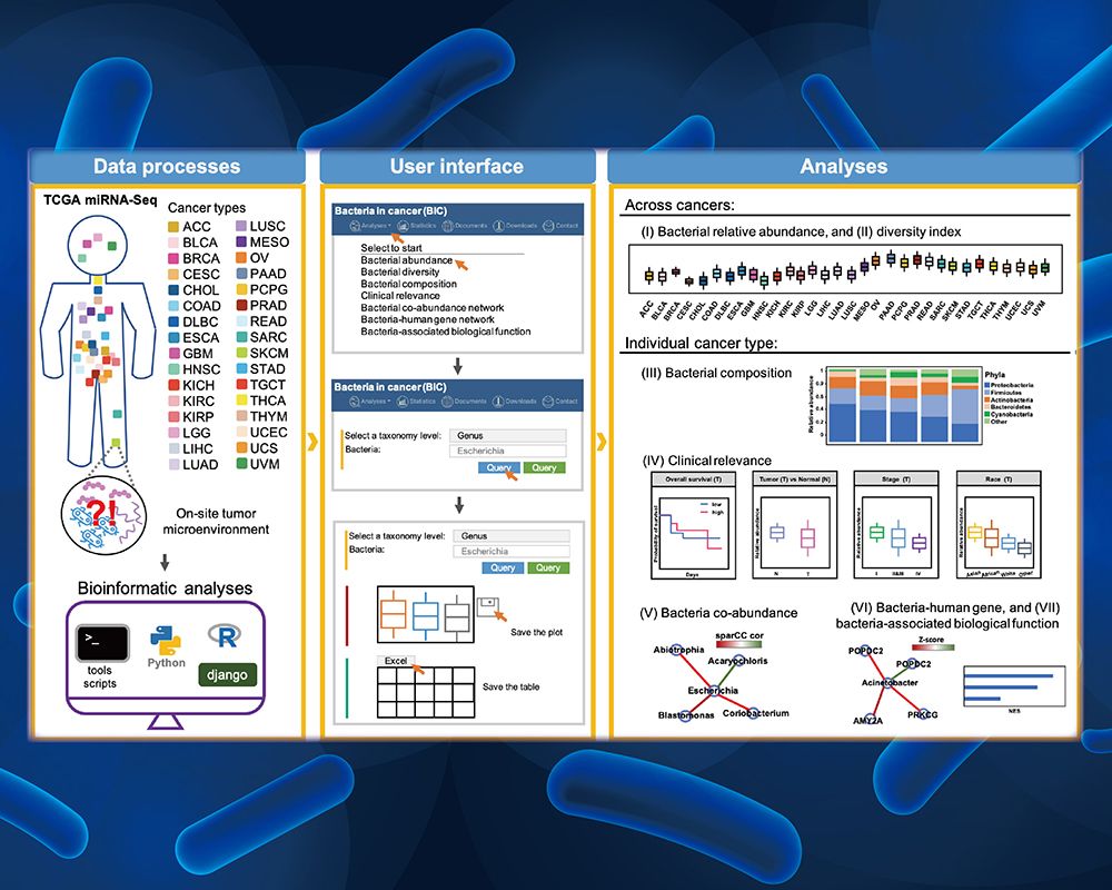 Mining Big Data for the Transcriptional Landscape of Bacteria in Cancer-封面圖