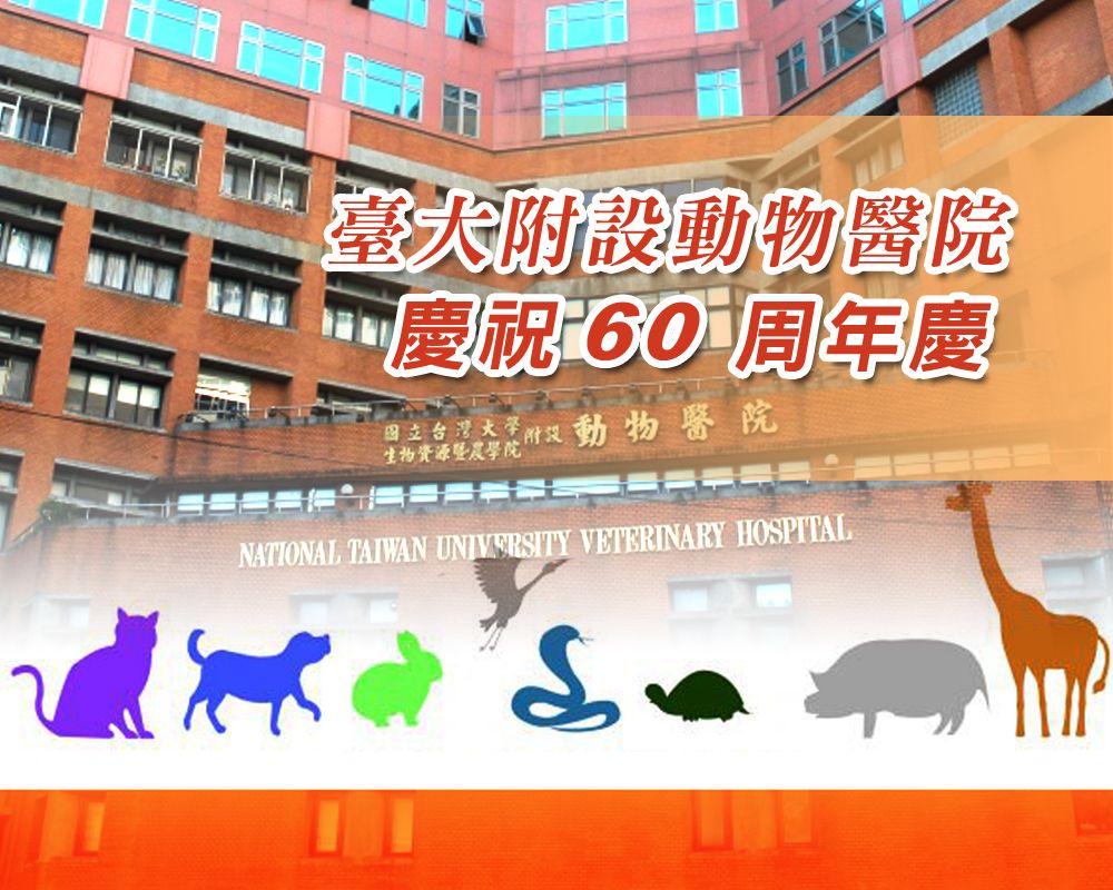 臺大附設動物醫院 60 週年慶-封面圖