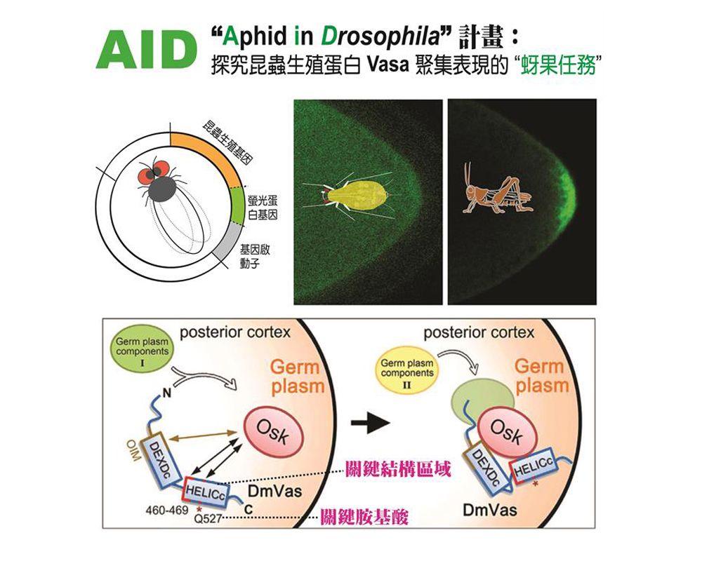 AID 計畫解密成果可遏止害蟲繁衍-封面圖