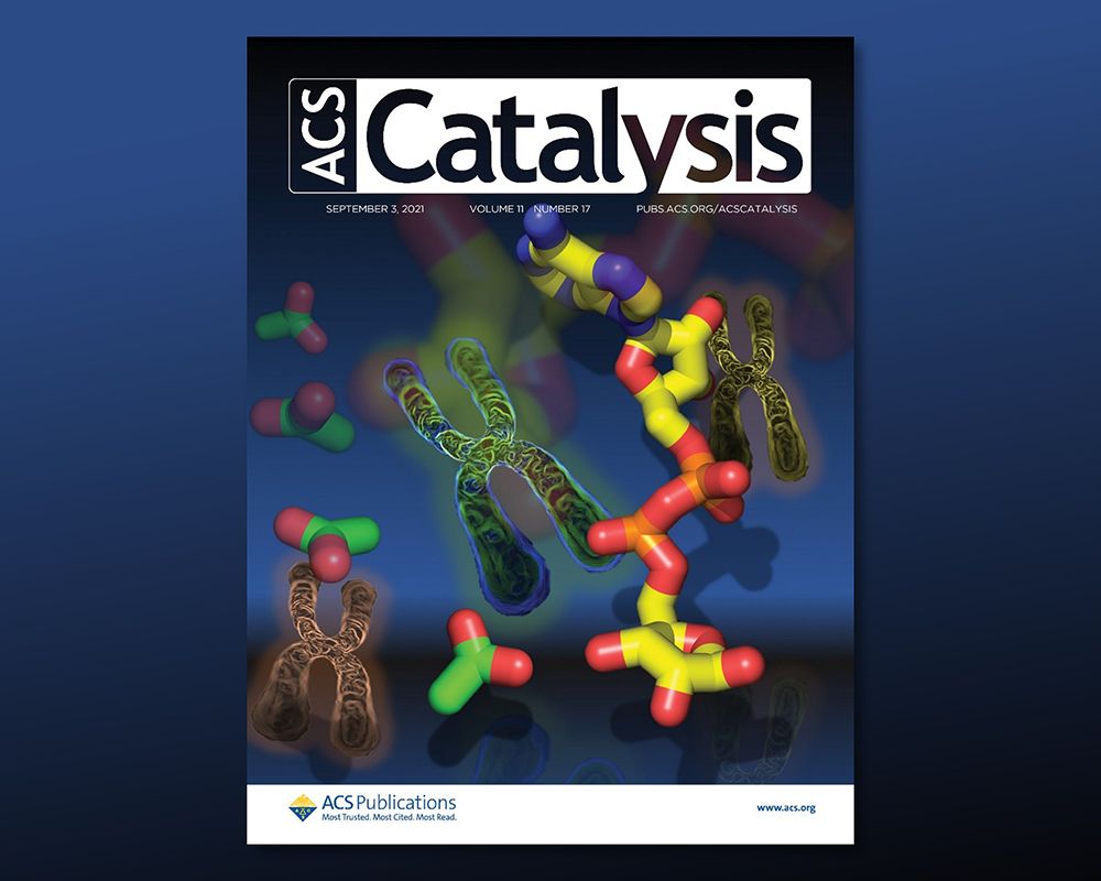徐駿森教授研究團隊發現生化降解途徑的「殊途同歸」 榮登頂尖期刊ACS Catalysis封面-封面圖