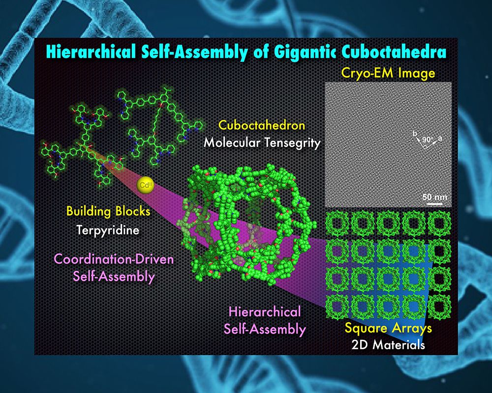 臺大團隊與中研院冷凍電顯中心合作 探索巨型超分子多面體的二維逐級自組裝-封面圖