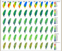 春季雨量、植被覆蓋率及物候參數之空間分布