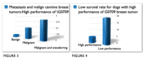 Charts showing the prediction of dogs' breast tumors表
