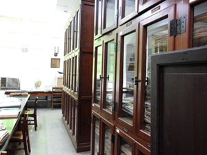 Inside the wooden cabinets are shelf upon shelf of herbarium specimens.